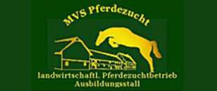 MVS Pferdezucht