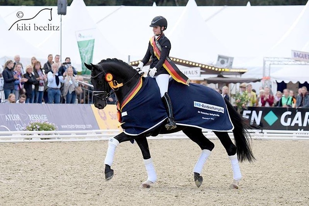 Devonport von Dancier aus der Ratina von Ravallo - Westbury